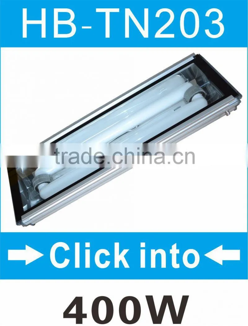 induction high bay light