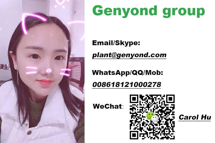 Shanghai Factory Cheap Non Fried Non-frying Instant Noodle Making Machine Equipment Processing Plant Production Line Price