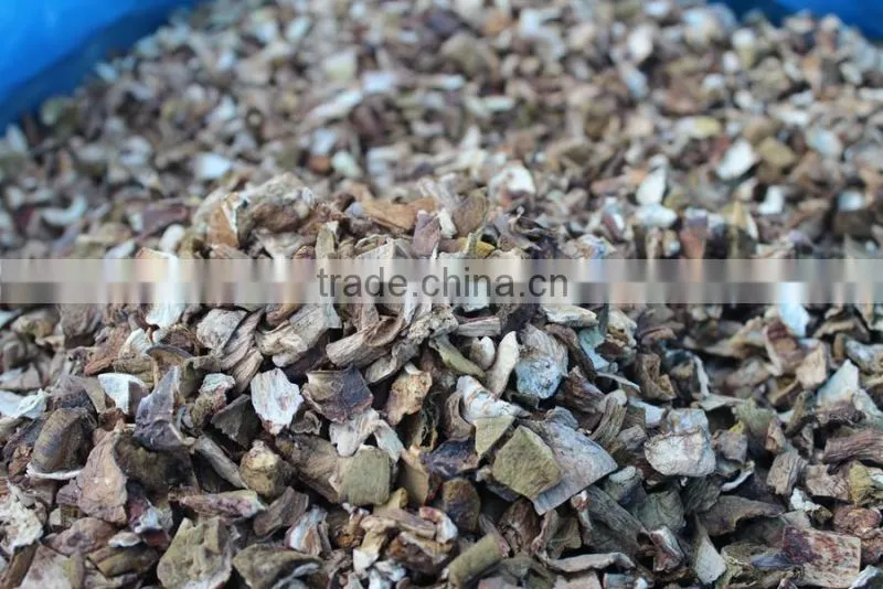 Dried porcini mushroom fresh mushroom farm