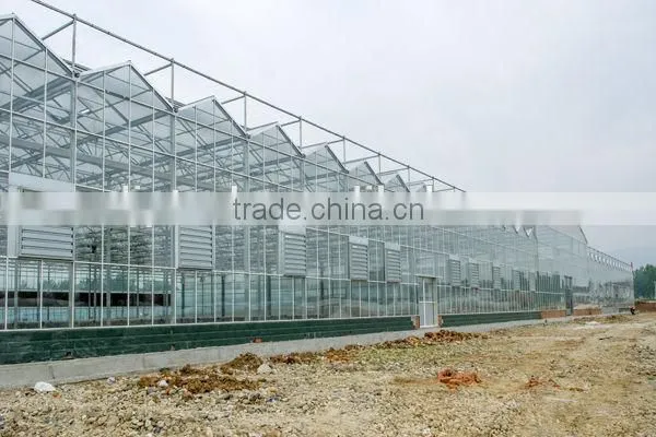automatic greenhouse window