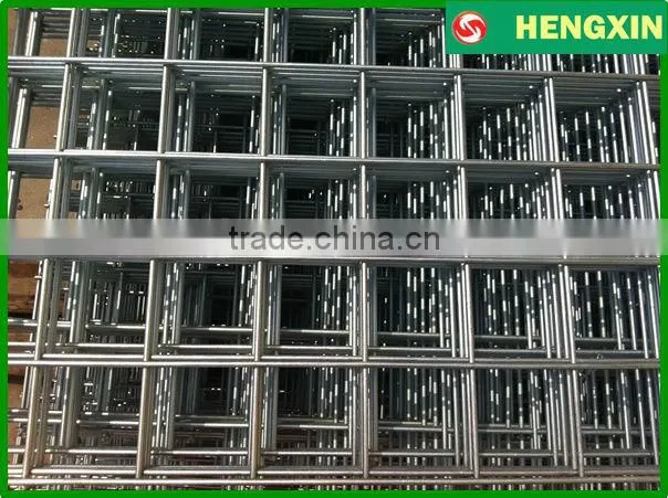 Bird cage wire panels welded wire mesh panel