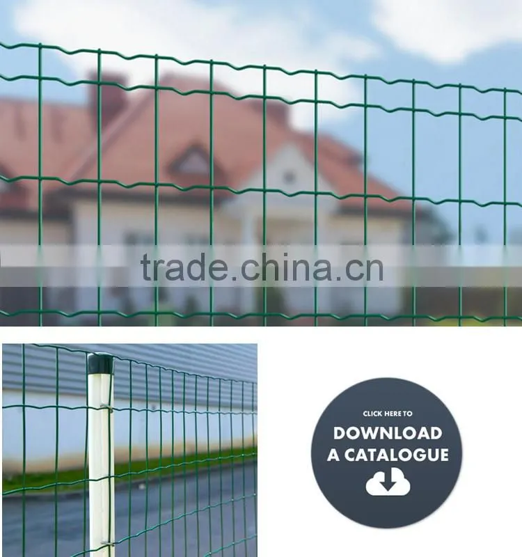 Euro Welded Wire Mesh Roll Garden Fence