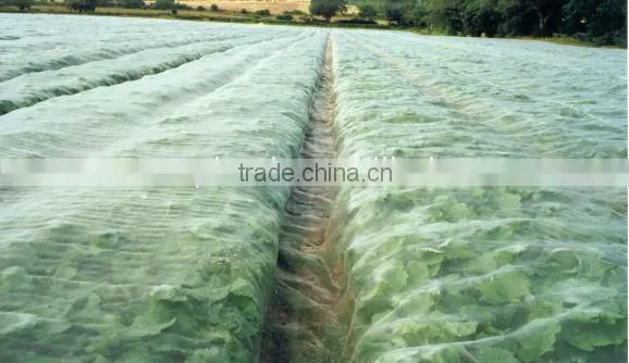 HDPE transparent agricultural anti insect net/insect repellent net