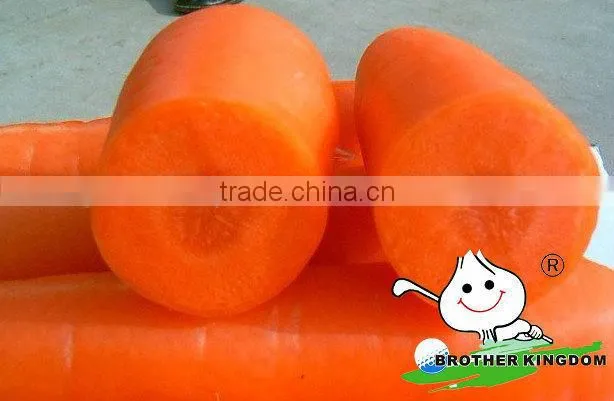 Fresh carrot in Fresh Carrots,Organic Carrots