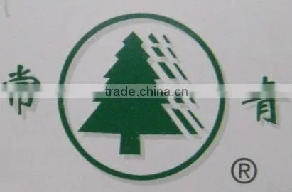 Changqing 2 cylinder diesel engine