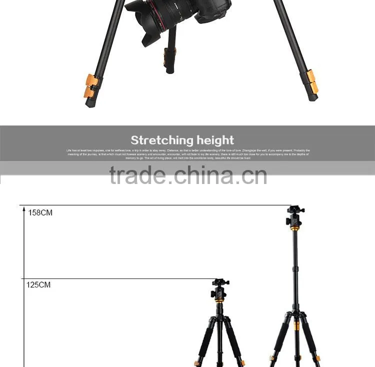 QZSD-Q570A 62'' Professional Golden Aluminum13'' Folded Video DSLR Digital Camcorder Camera Tripod Monopod