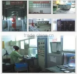Zhejiang Leishu Electric Co., Ltd. company overview - view 2
