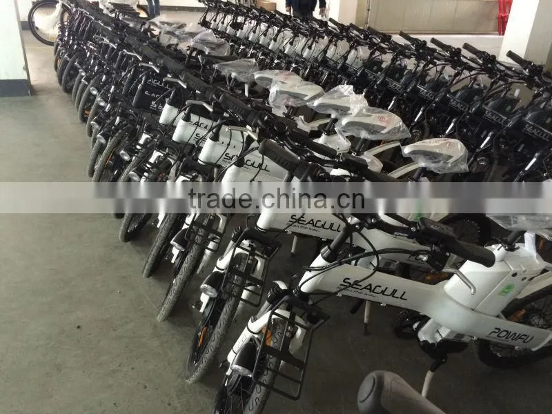 Seagull - Hot sell seagull electrical bike in the world , crazy popular in the Mexico
