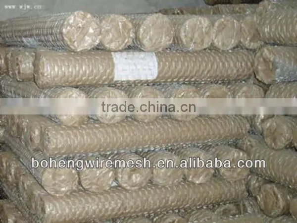 HOT SALE galvanized and pvc coated Hexagonal wire mesh manufacturer