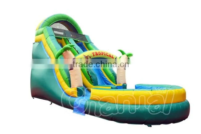 inflatable palm tree water slide, inflatable water slide pool, tropical water slide