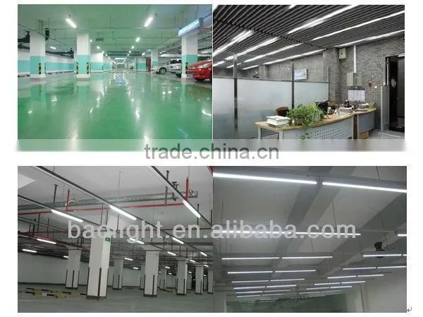 18w 24w xxx aminal video led tube lighting