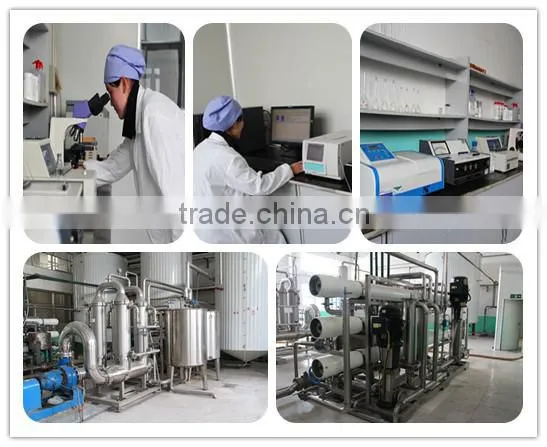 White Crystalline Erythritol Manufacturer