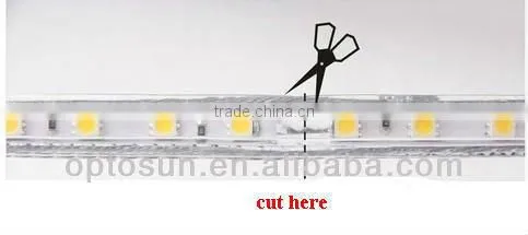 LED With CE RoHS certification house decoration wateproof DC12V 24V AC220V LED rope light