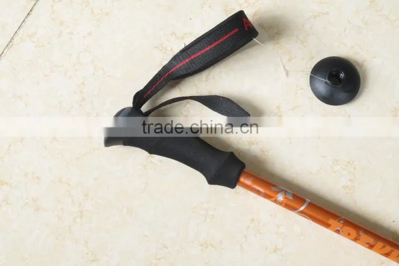 3 Section Hiking Pole
