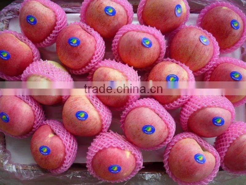 qinguan apple