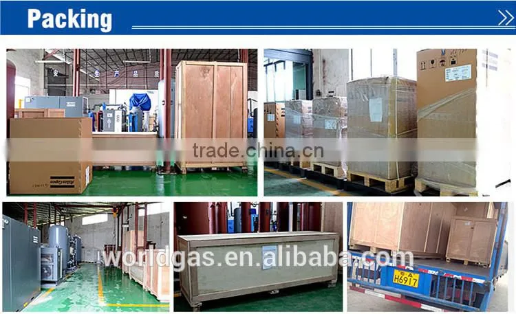 Food Nitrogen Packing Machine