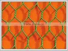 galvanized hexagonal wire mesh(factory)