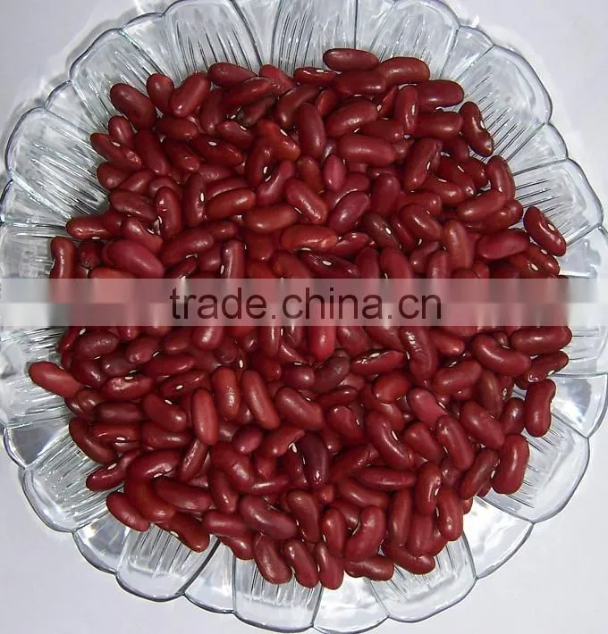 2015 new crop the british red kidney beans from China