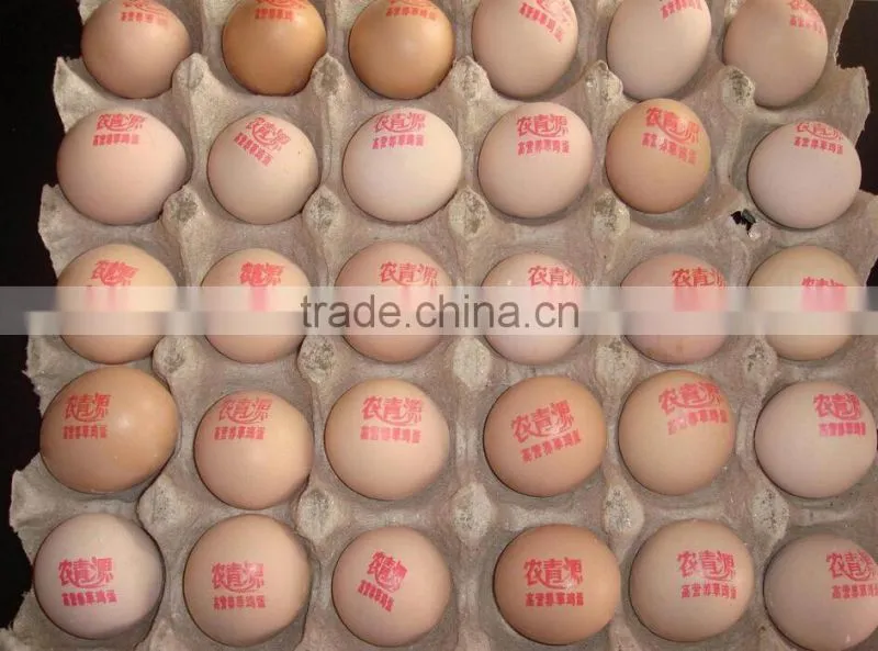 commerical yoghourt date coding machine/milk date printer/dairy product date printing machine