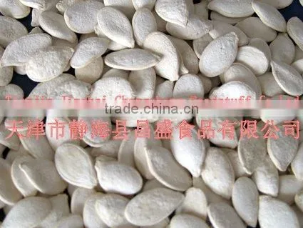 low price Roasted and salted pumpkin seeds
