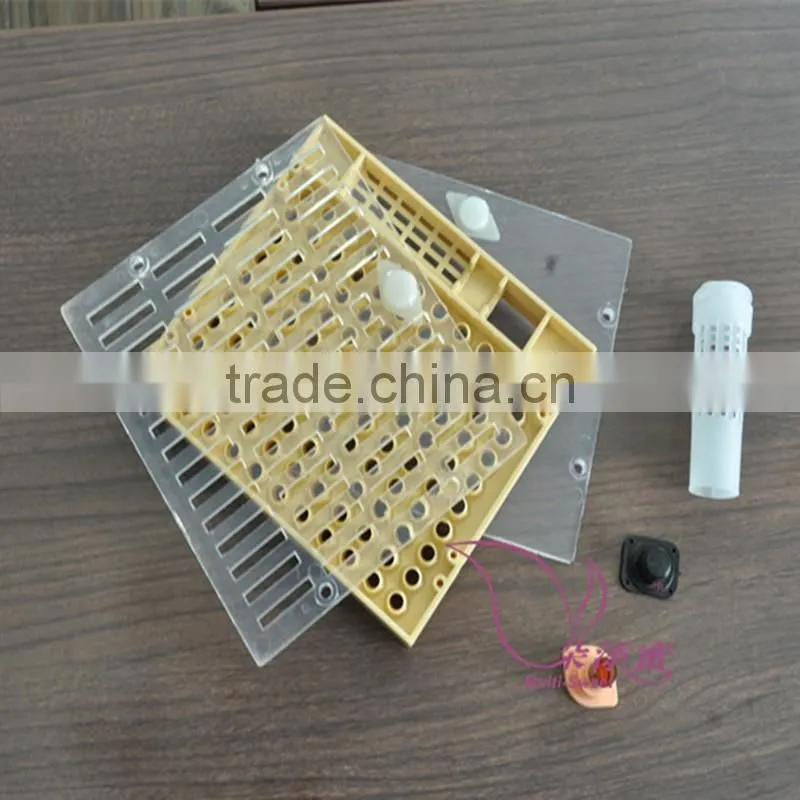 apiculture tools beekeeping queen rearing