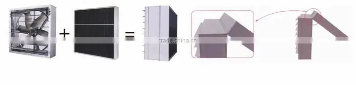 Poultry House Light Hood Price/Light Hood For Chicken House