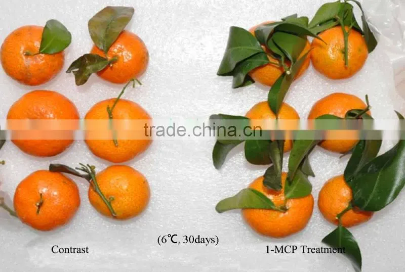 1-Methylcyclopropene slow down the ripening speed of fruits