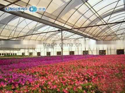 Greenhouse From Beijing in China
