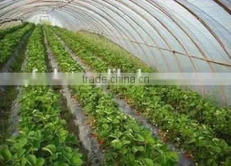 PE plastic film products for mushroom tunnel / greenhouse film for shade crops