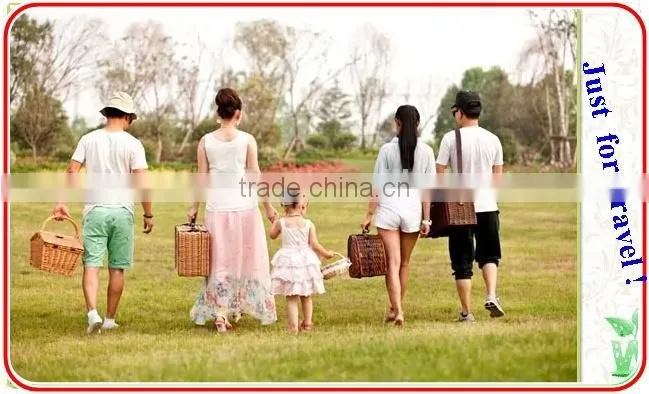 Handwoven eco-friendly cheap antique mini wicker oval picnic basket for 2 persons
