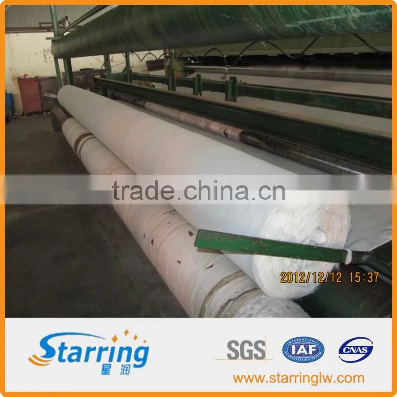 Shoreline Erosion Control geotextile