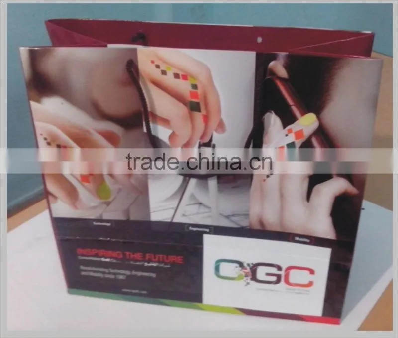 Paper Bags design logo and matte finish with rope handles