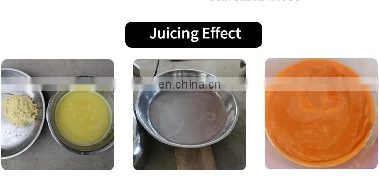 Fruit and vegetable juicer for sale electric carrot juicer orange juicer making machine
