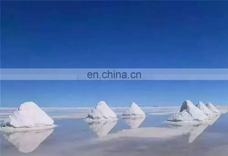 Factory supply sea salt processing machine