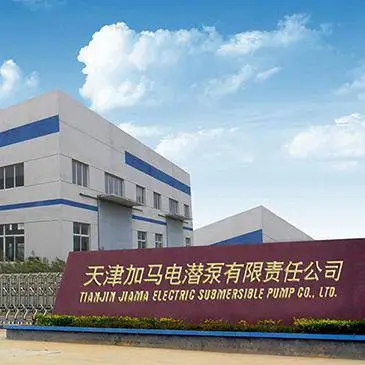 Tianjin Gamma Electric Submersible Pump LLC company overview - view 1