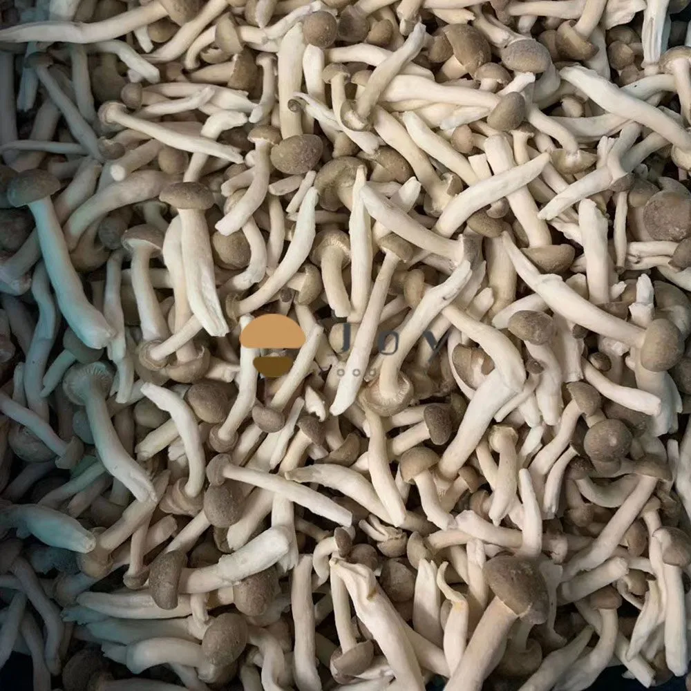 Iqf frozen shimeji mushroom