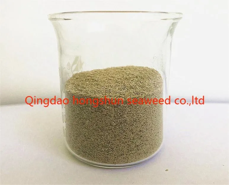 Promotion Plan for Printing and Dyeing Grade Sodium Alginate: