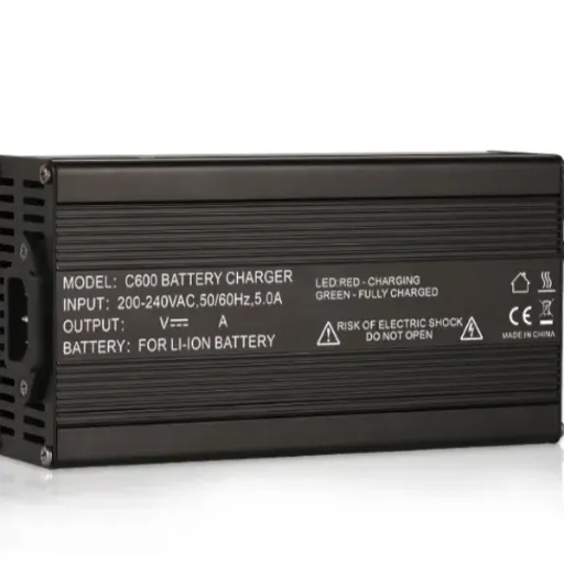 48V LiFePO4 charger (1)