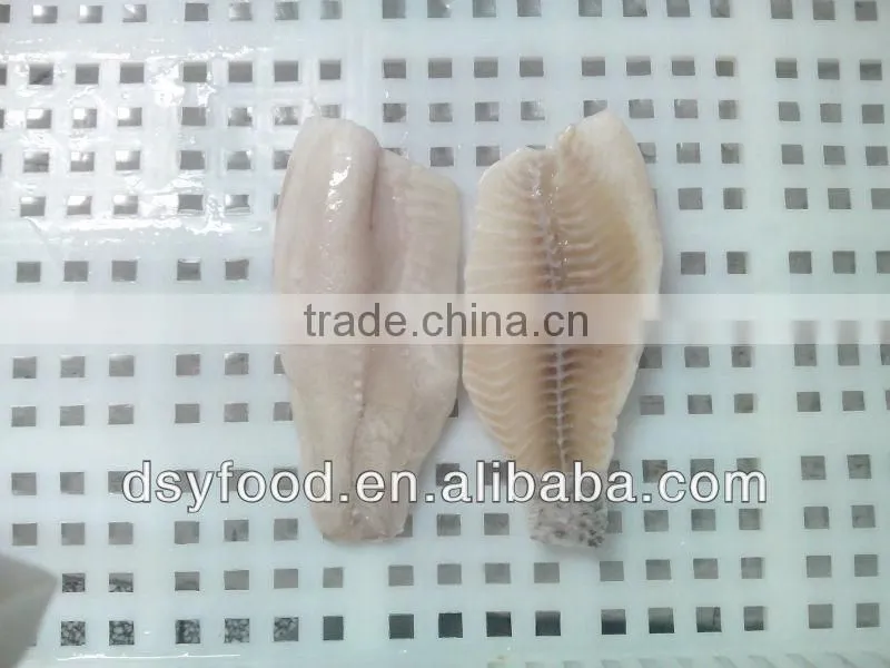 Frozen Fresh Red Tilapia Fish WR