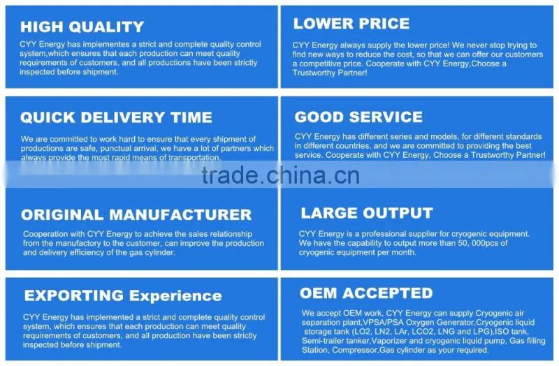 Sanitary Stainless Steel Rotary Lobe Pump for Chemical Liquid