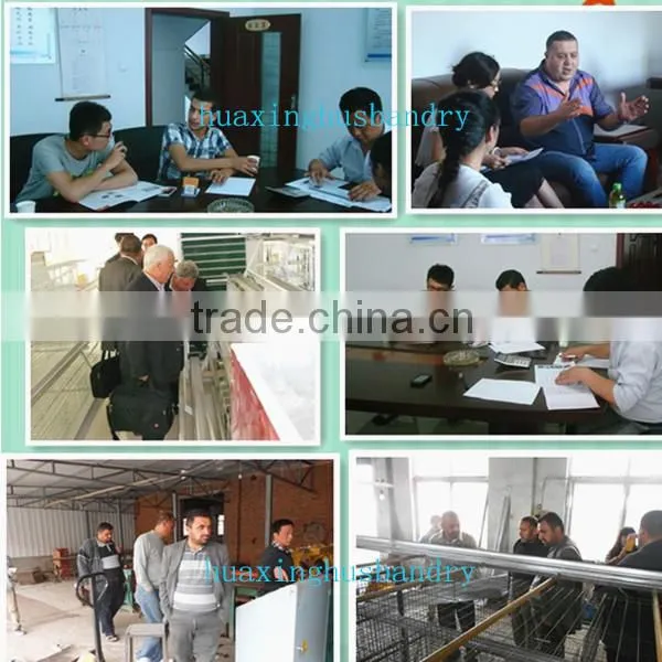 Animal Farm, Poultry Equipment, Rabbit Cage for Pet Cage