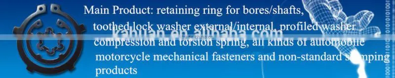 Made in China DIN6796 Q419 disc spring washer