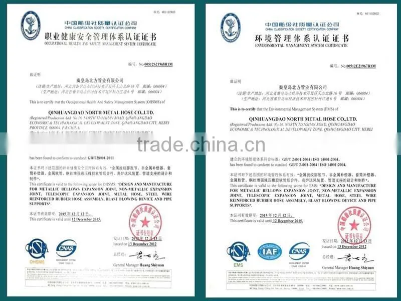 DIN Carbon/ Stainless/Alloy Steel standard flange Manufacturer
