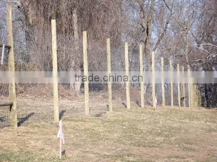 Green plastic garden fence,Green garden mesh