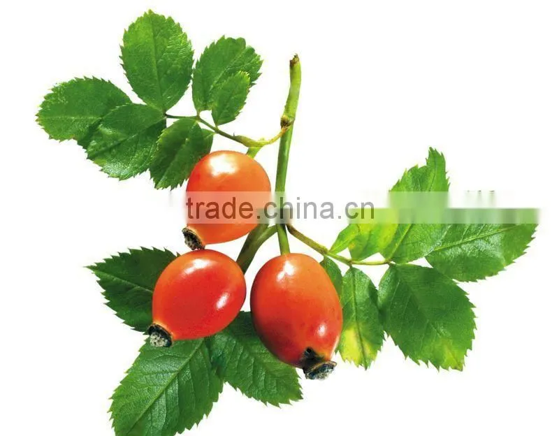 Full Contain Vitamin C 100 Pure Natural Rose Hips Oil