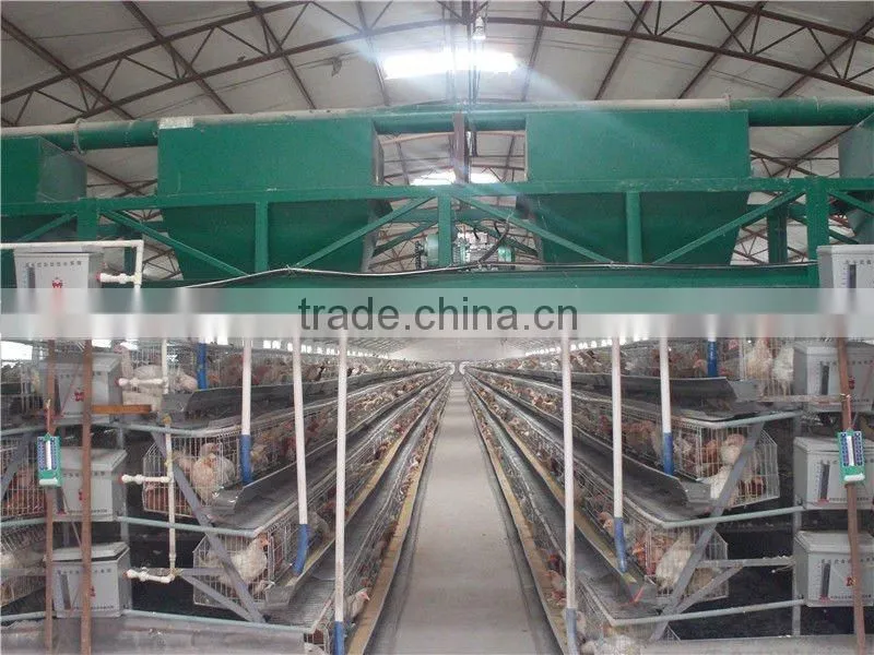 Durable economic steel wire mesh chicken cage