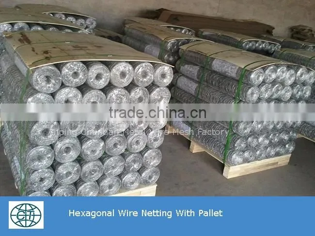 cheap price high quality fence mesh chicken wire mesh