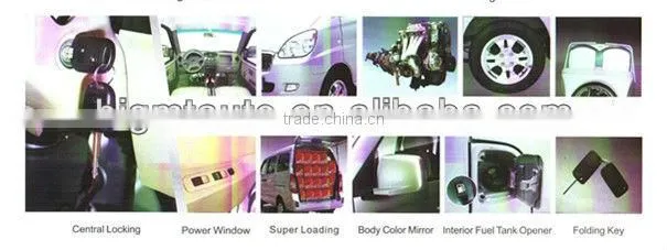 gasoline passenger van sales in the world