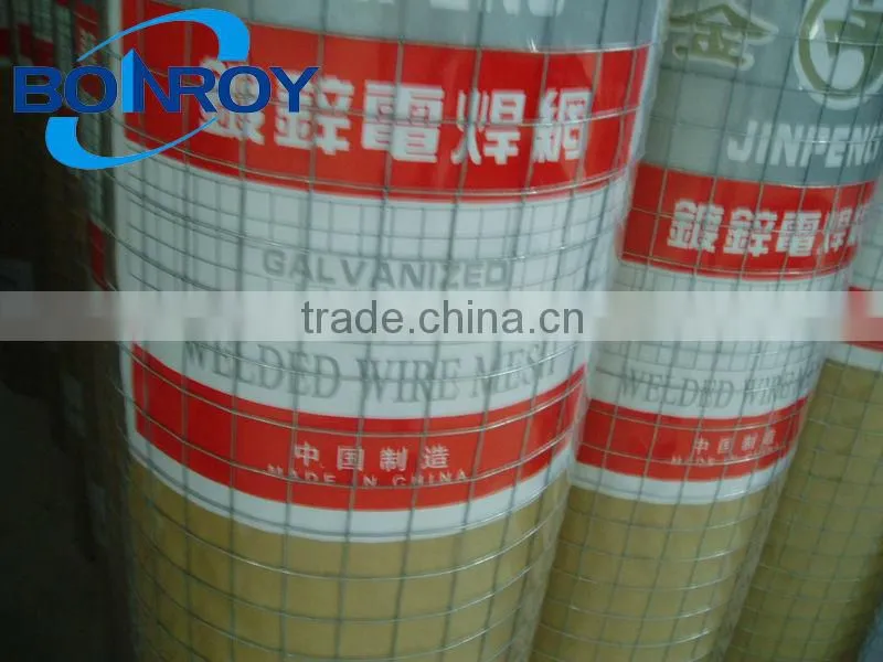 1/4 inch pvc coated galvanized welded wire mesh
