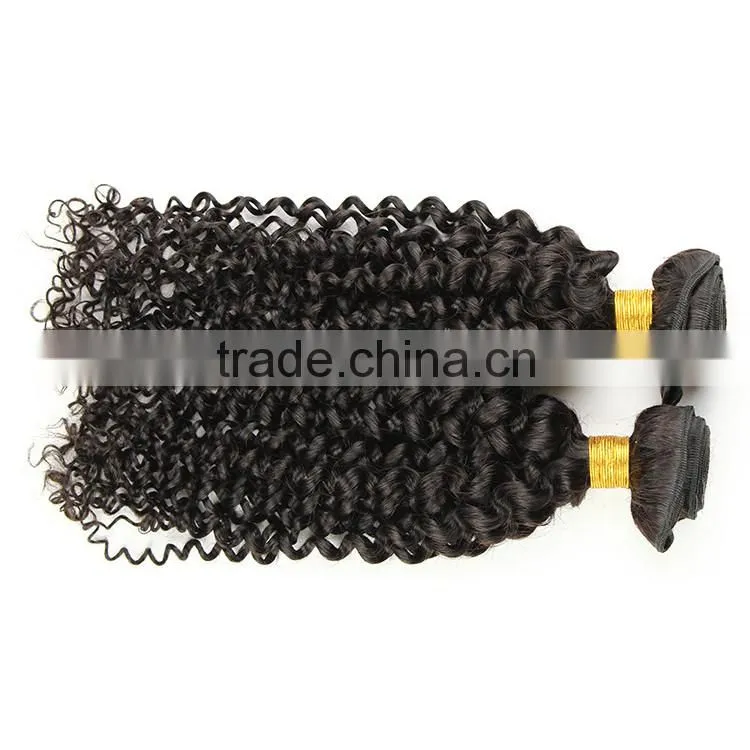 100% unprocessed human virgin Brazilian hair kinky curly